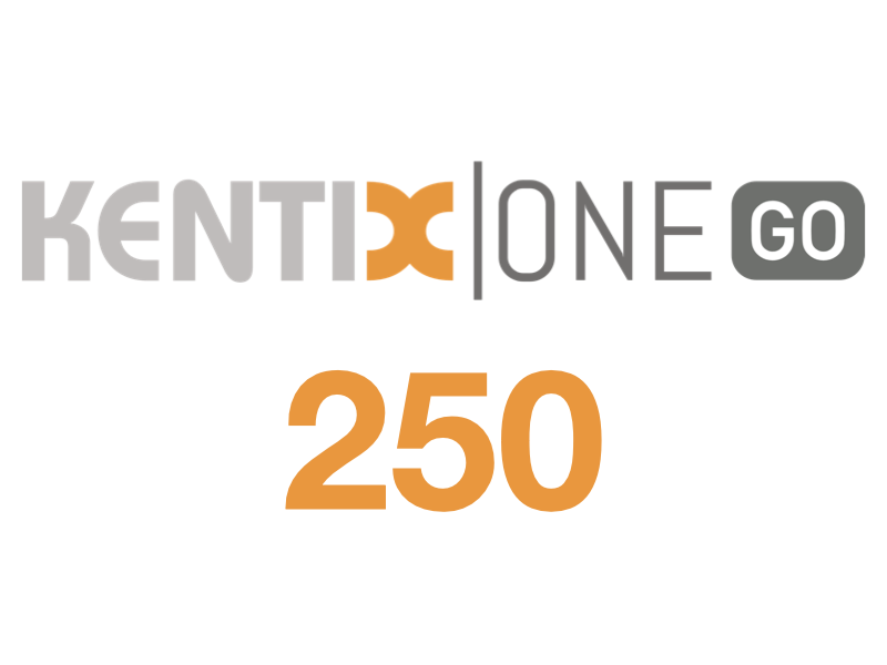 KentixONE 1 year software maintenance up to 250 devices